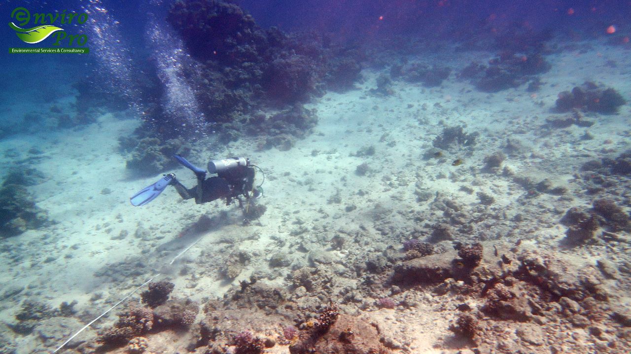 KSA-Egypt Interconnector Project